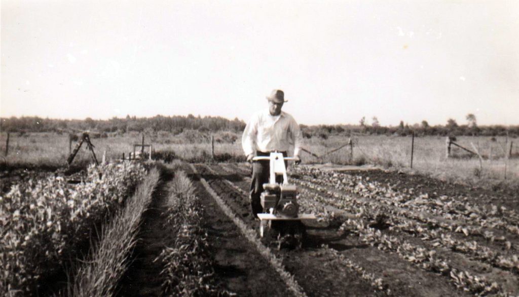 Uncle Steve using the rototiller (1972)